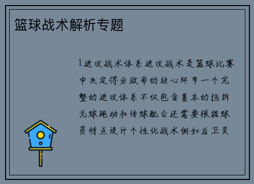 篮球战术解析专题