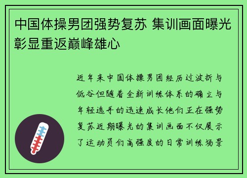 中国体操男团强势复苏 集训画面曝光彰显重返巅峰雄心